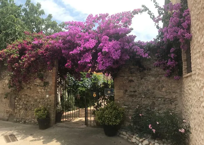 Niu Tatil Evi Saldet
